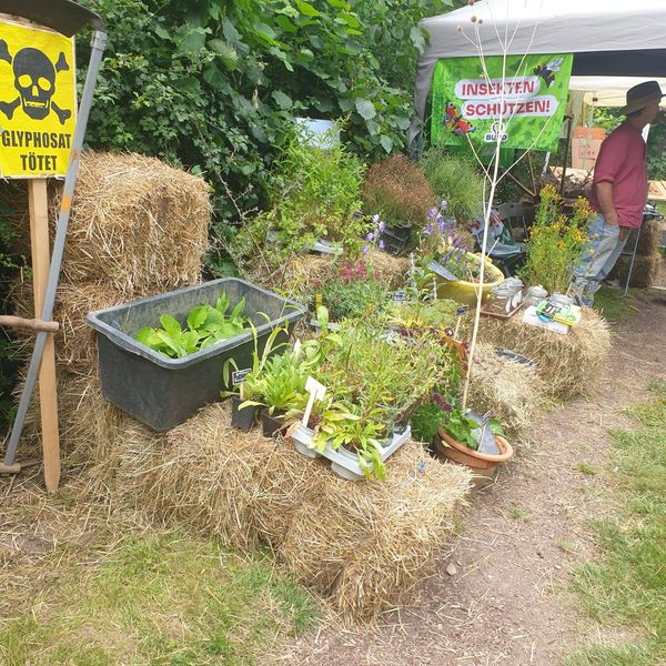 Sommerfest