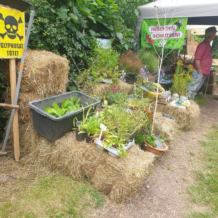 Sommerfest